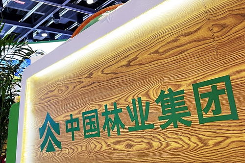 中林集團子公司商票逾期風波加劇，原董事長遭起訴，旅游業務何去何從？